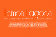 Ocean Dream - Chic & Elegant Serif, a Serif Font by Schrifted Type (Thumbnail 6 of 8)