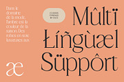 CS Boris – Elegant Font, a Serif Font by Craft Supply Co. (Thumbnail 5 of 8)