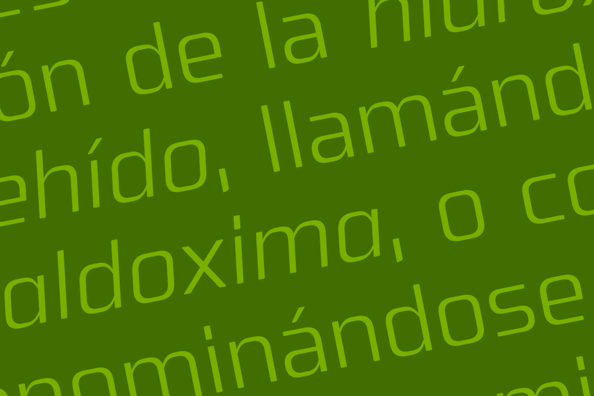 Oxima Font Family, a Sans Serif Font by Graviton Font Foundry (Photo 6 of 6)