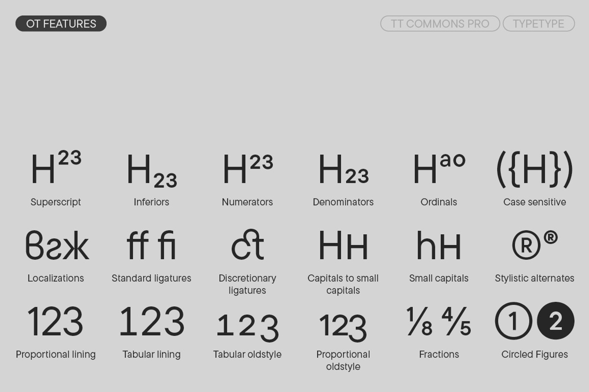 TT Commons Pro Basic, a Sans Serif Font by TypeType (Photo 12 of 15)