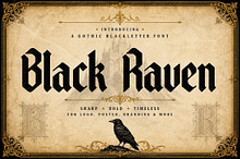 Black Raven
