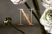 Apothecary Display Font, a Font by Create The Cut (Thumbnail 9 of 13)