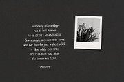 Mandys - Formal Handwritten Typeface, a Handwritten Font by ManuelRosin (Thumbnail 10 of 13)