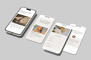 iPhone Screen Mockup, an iPhone Mockup by Amigos__46 (Thumbnail 9 of 10)