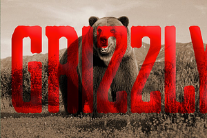 Grizzly 0116 Display Typeface