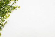 Modern Mockup, Clean Mockups, a Background Photo by BlueBooks (Thumbnail 8 of 14)