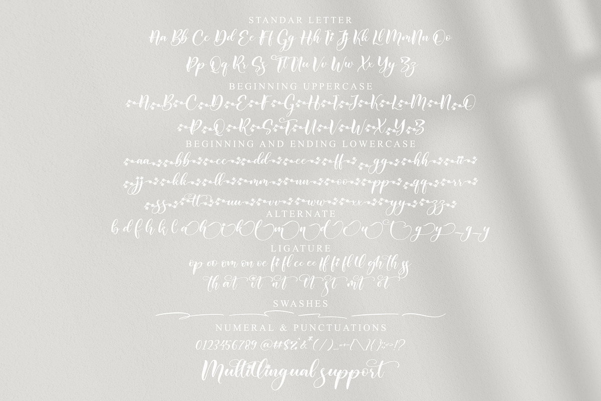 Regista - beautiful script font, a Script Font by ribethstudio (Photo 9 of 12)