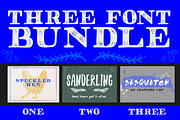THREE FONT BUNDLE & extras, a Script Font by Lettering Supply Co. (Thumbnail 1 of 17)