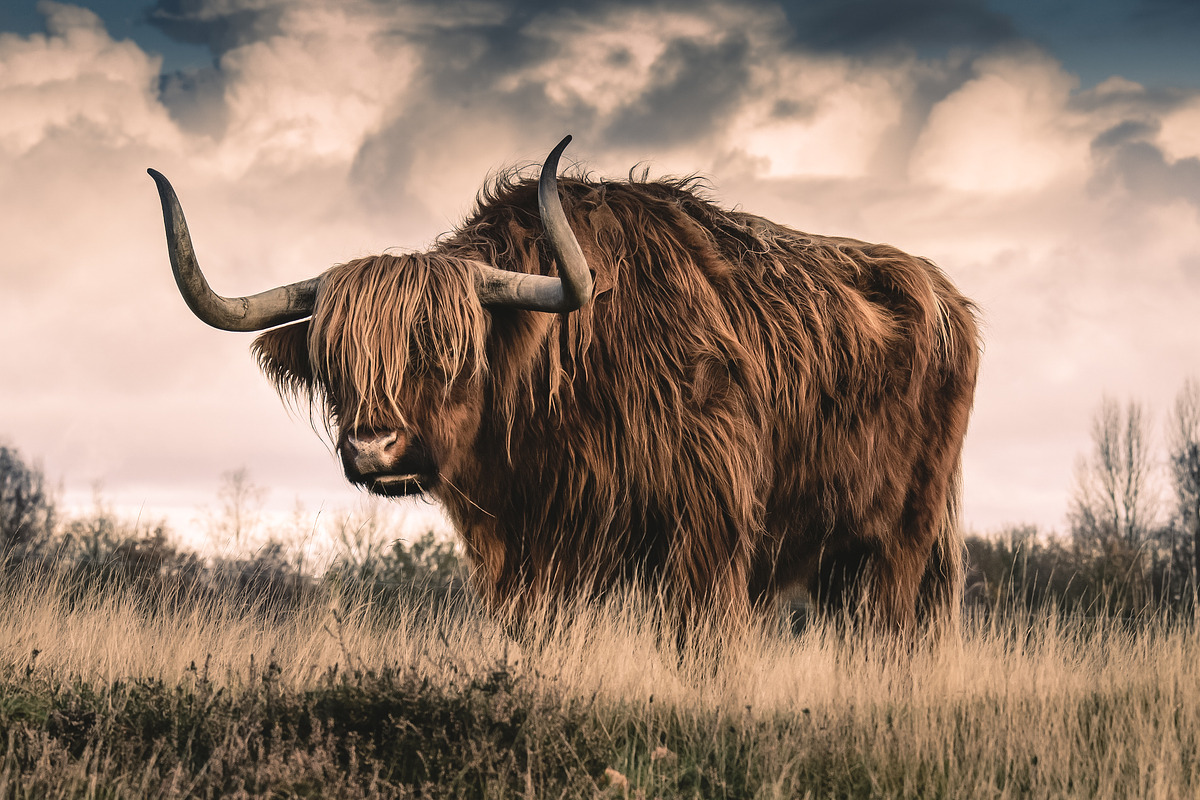 300 Professional Lightroom Presets, an Action Add-On by Madison Colt Studios (Photo 21 of 29)