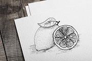 Lemon. Sketch and patterns, a Background Graphic by Canatic (Thumbnail 2 of 19)