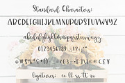 lillie belle hand lettered font, a Script Font by lillie belles designs (Thumbnail 5 of 5)