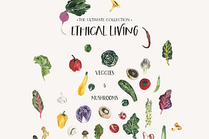 ETHICAL LIVING Vegan & Eco Lifestyle