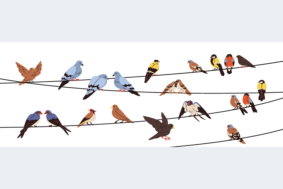 Birds sitting on wires + poster, an Animal Illustration by Good Studio (Photo 2 of 3)