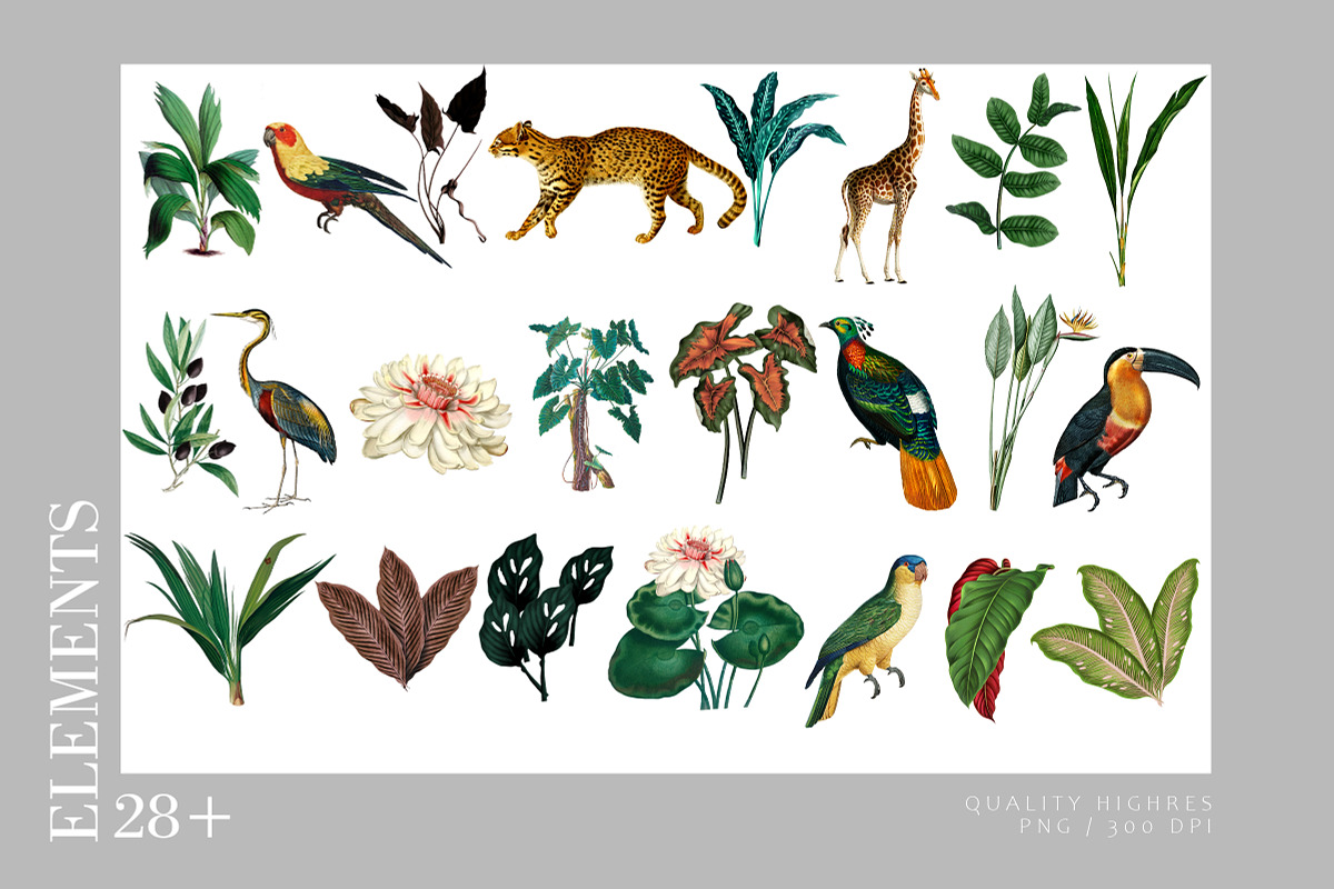 Wild Life (Patterns Wallpapers), a Pattern Graphic by Luiz da Rolt Grathwohl (Photo 3 of 9)