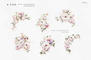 Pink Bloom, Watercolor peonies, an Object Illustration by ollalya (Thumbnail 3 of 7)