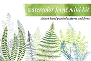 Watercolor Ferns Mini Kit, a Texture Illustration by Instinct Design Co (Thumbnail 1 of 2)