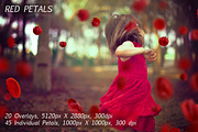 5K Petals Overlays, an Object Graphic by ArtPlanet (Thumbnail 5 of 12)