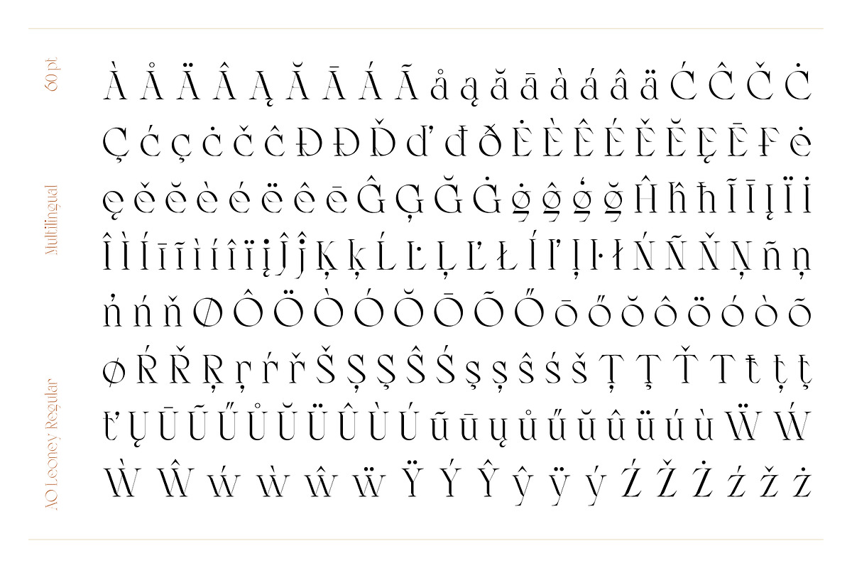 AO Leoney - Display Font Family, a Serif Font by OwunStudio (Photo 5 of 22)
