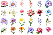 Birth Month Flower Clipart, an Illustration by Watercolor design (Thumbnail 2 of 5)