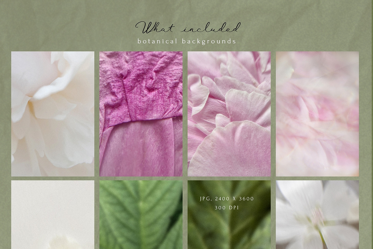 Petals Botanical Overlay Kit & Paper, an Object Graphic by Allure Art (Photo 19 of 22)