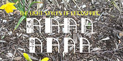 DecoSpring, a Symbol Font by Ingrimayne Type (Thumbnail 4 of 10)