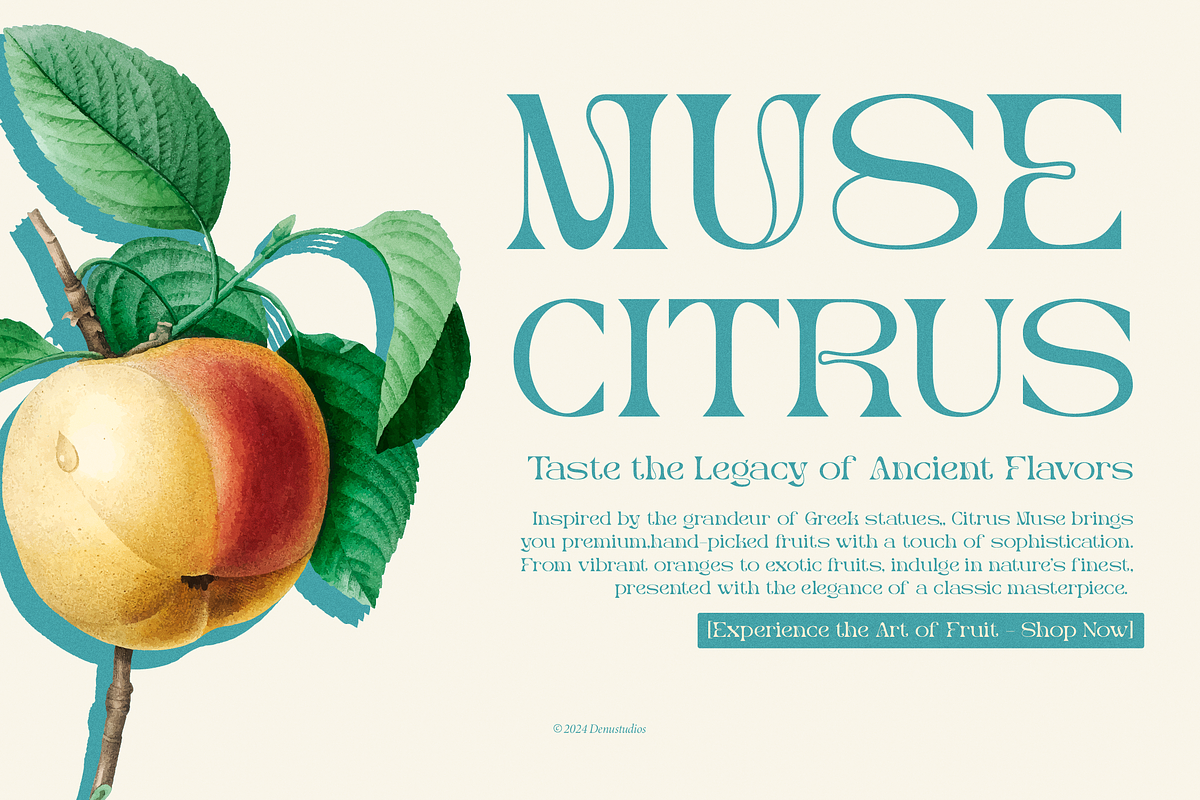 Merlo Rakasha | Display Serif Font, a Serif Font by Denustudios (Photo 4 of 13)