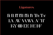 Kalender, a Serif Font by Gurup Stüdyo (Thumbnail 11 of 14)