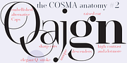 Cosma, a Serif Font by Wiescher-Design (Thumbnail 8 of 11)