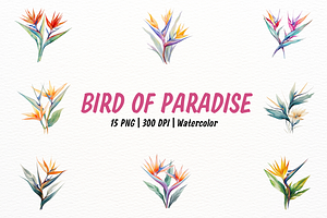Exotic Watercolor Bird of Paradise, a Decorative Illustration by New-School-Wave