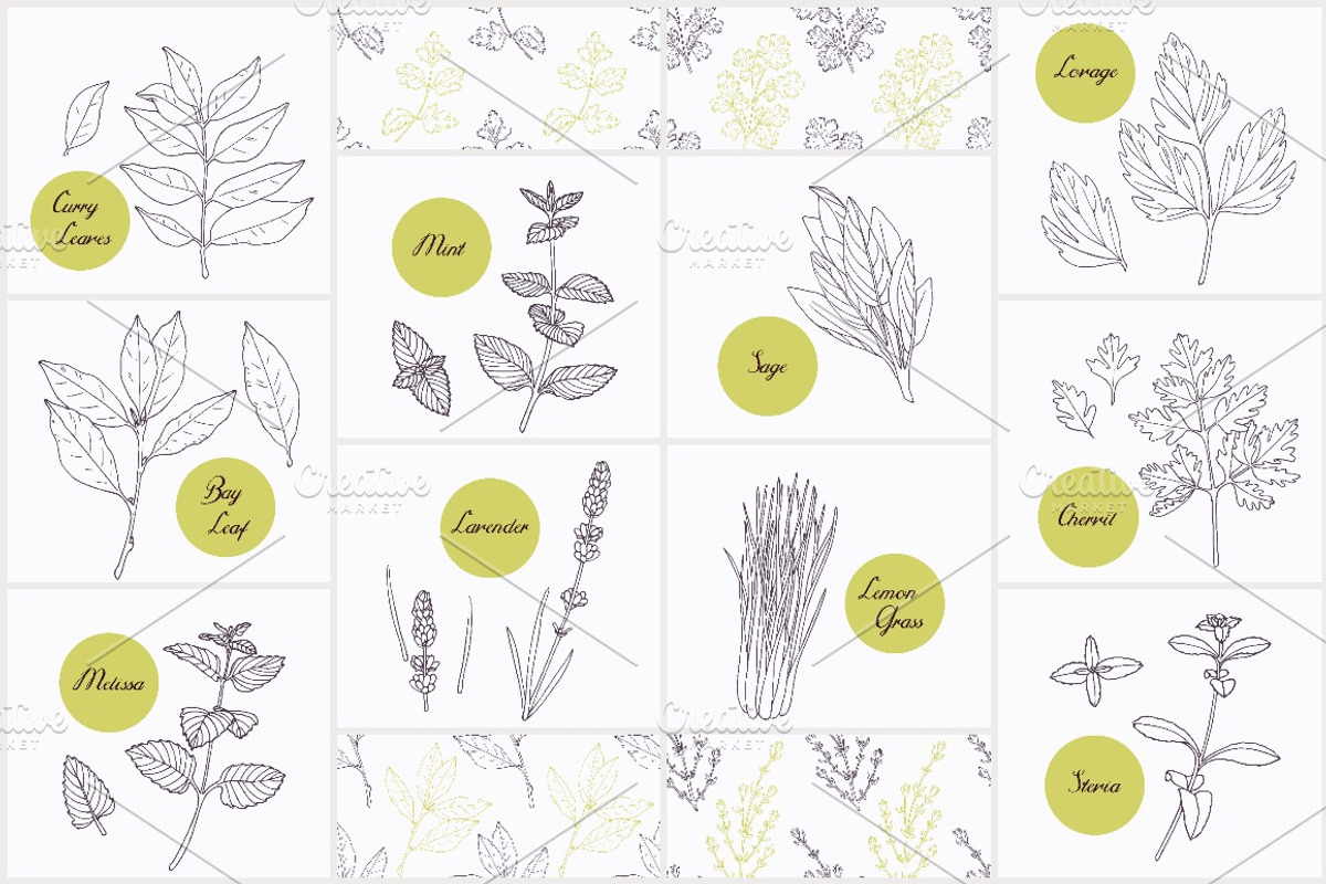Herbs & Spices Big Bundle, a Food Illustration by Zhemchuzhina (Photo 7 of 9)
