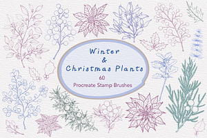 Winter & Christmas Plants,Procreate