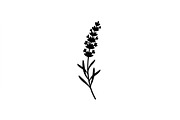Lavender Flower Silhouette Set, an Object Graphic by Designer_Momina (Thumbnail 2 of 3)