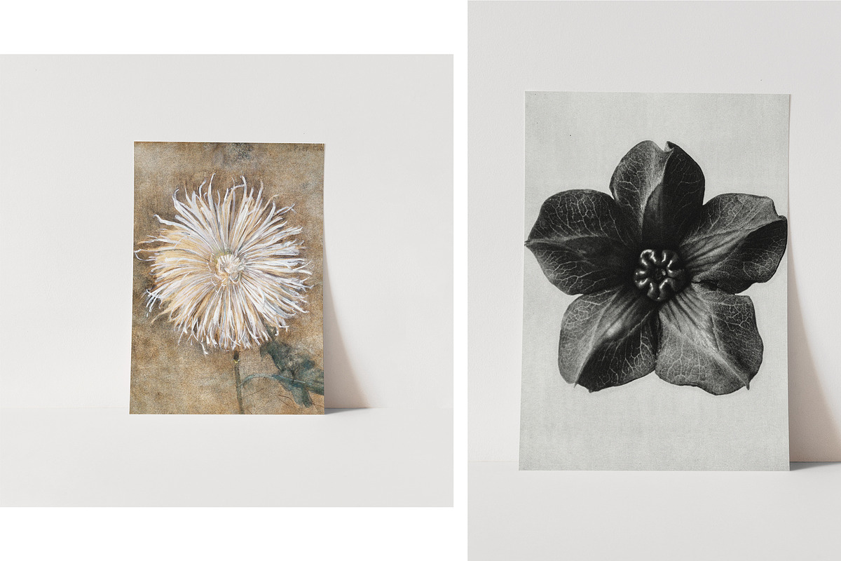 Clean Customizable Poster Mockup, a Mockup by HALFTOUNE (Photo 3 of 5)