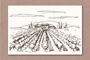 Hand drawn vineyards illustrations, an Illustration by Blue Ink Studio (Thumbnail 2 of 5)