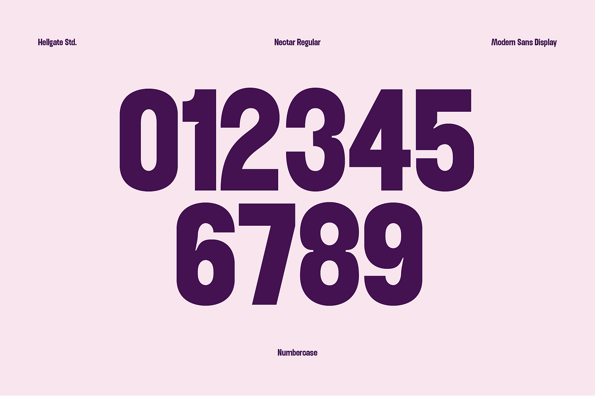 Nectar Modern Sans, a Sans Serif Font by GRVS Studio (Photo 5 of 7)