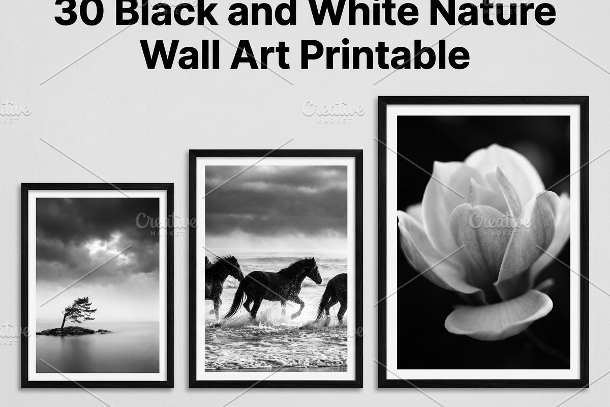 30 Black and White Nature Wall Art, a Nature Photo by Image for Sale (Photo 1 of 3)