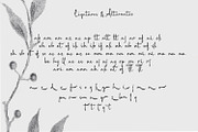 Khiara Script, a Script Font by NUGS (Thumbnail 7 of 7)