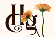 Dionara Luxury Elegant Serif Font, a Serif Font by Rasio Studio (Thumbnail 3 of 8)
