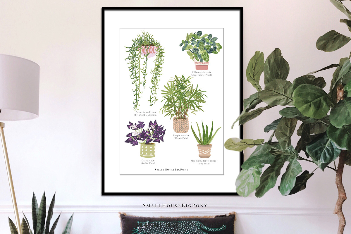 House Plants Collection Set II, a Graphic by SmallHouseBigPony (Photo 9 of 21)