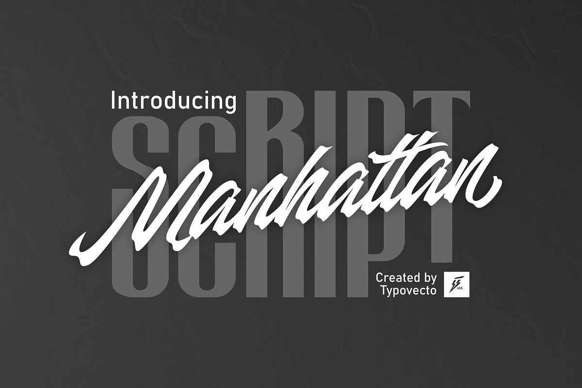 Manhattan Font, a Script Font by Nocturnal Workspace (Photo 1 of 9)