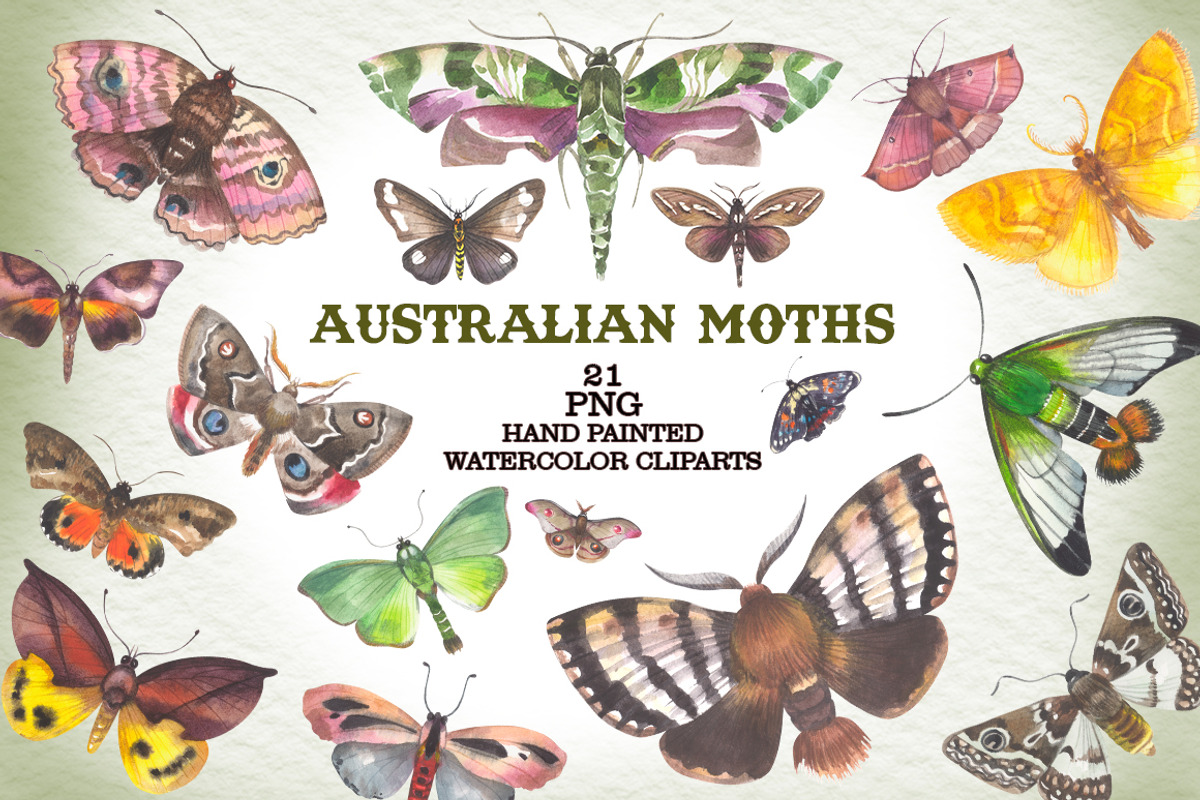 Australian Moths hand painted, an Animal Illustration by FITALARTSNEDIGI (Photo 1 of 8)