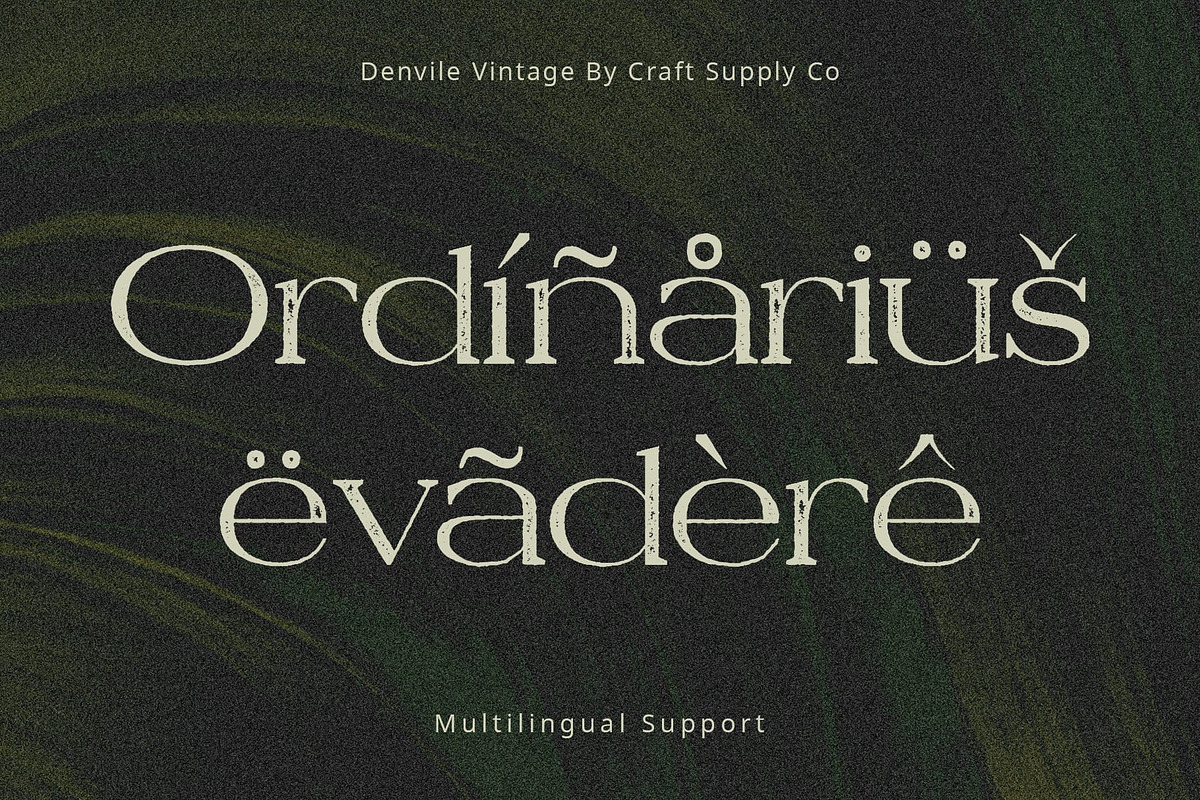 Denvile Vintage, a Serif Font by Craft Supply Co. (Photo 7 of 8)