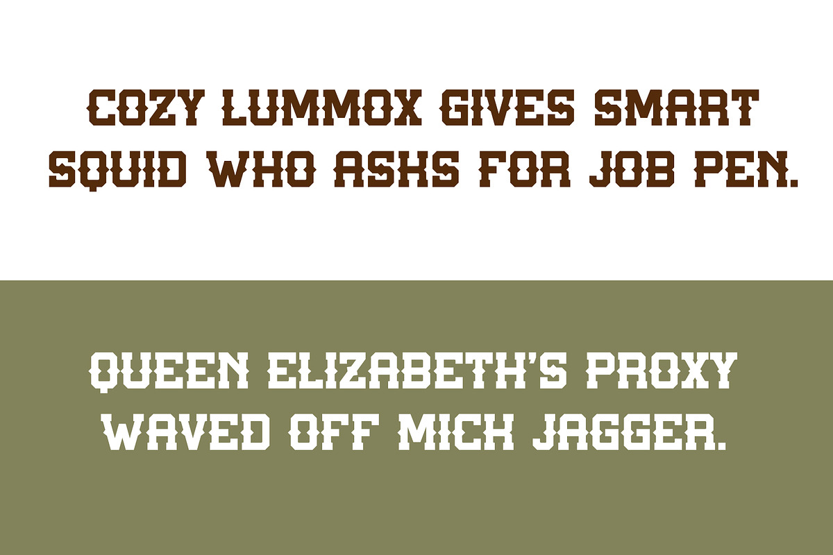 Texas Slab, a Slab Serif Font by Loudoun Design Co. (Photo 6 of 6)