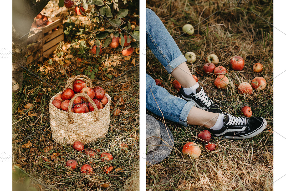 Apple garden bundle, a Person Photo by Fargana (Photo 2 of 5)