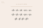 Vilaka Modern Serif, a Serif Font by Nestype (Thumbnail 5 of 10)