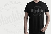 Blackbird - Blackletter font family, a Blackletter Font by Artistic & Unique (Thumbnail 14 of 16)