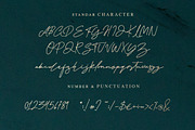 Baker Jackson Signature, a Script Font by Typenations (Thumbnail 9 of 11)