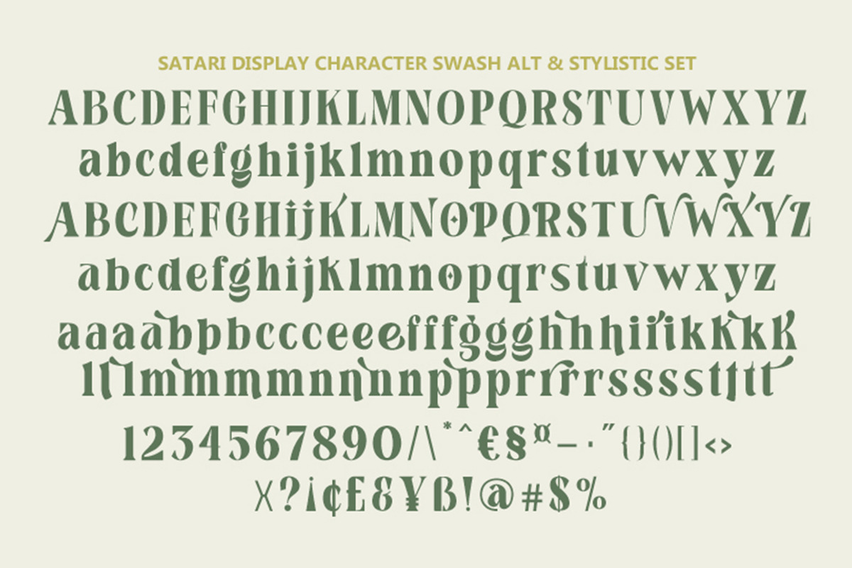 Satari, a Sans Serif Font by Gatype (Photo 9 of 10)