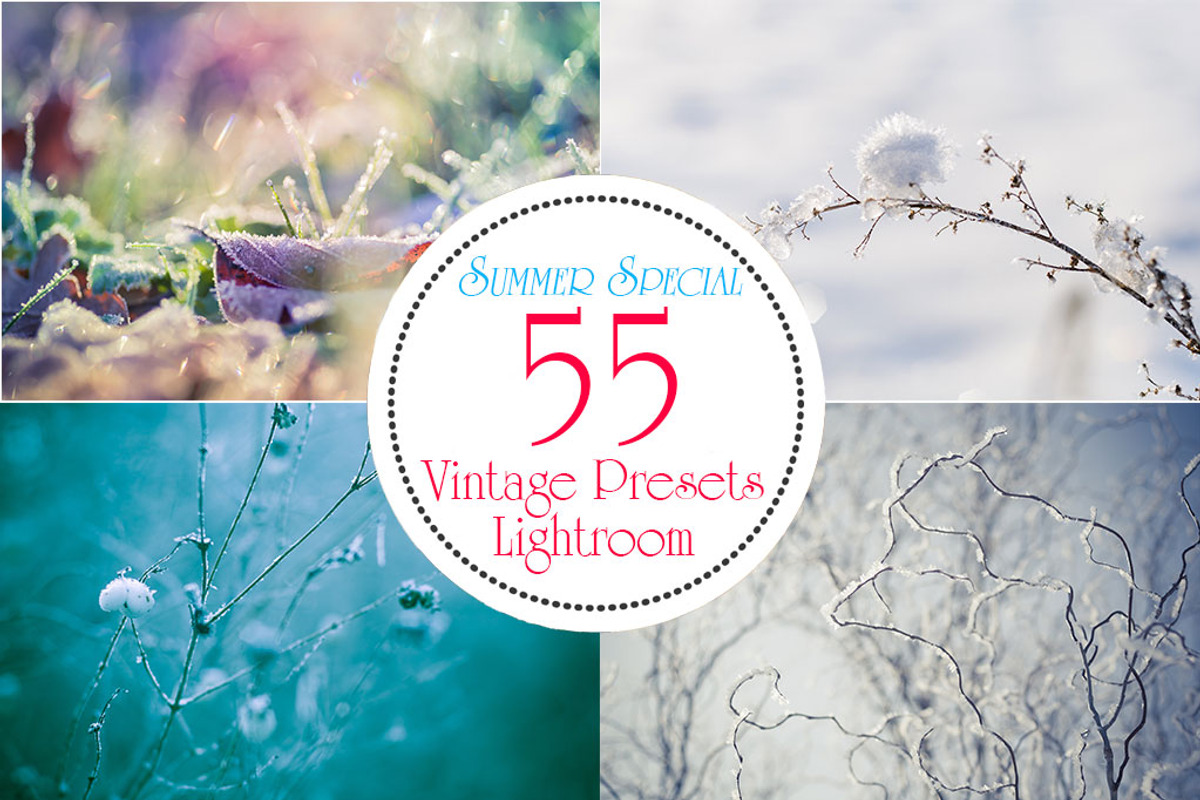 Spezial Bundle 55 LR Vintage Presets, a Plug-in Add-On by Jana Mänz Photography (Photo 4 of 5)