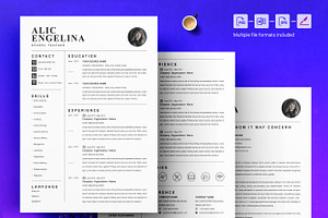 CV Template Professional Resume